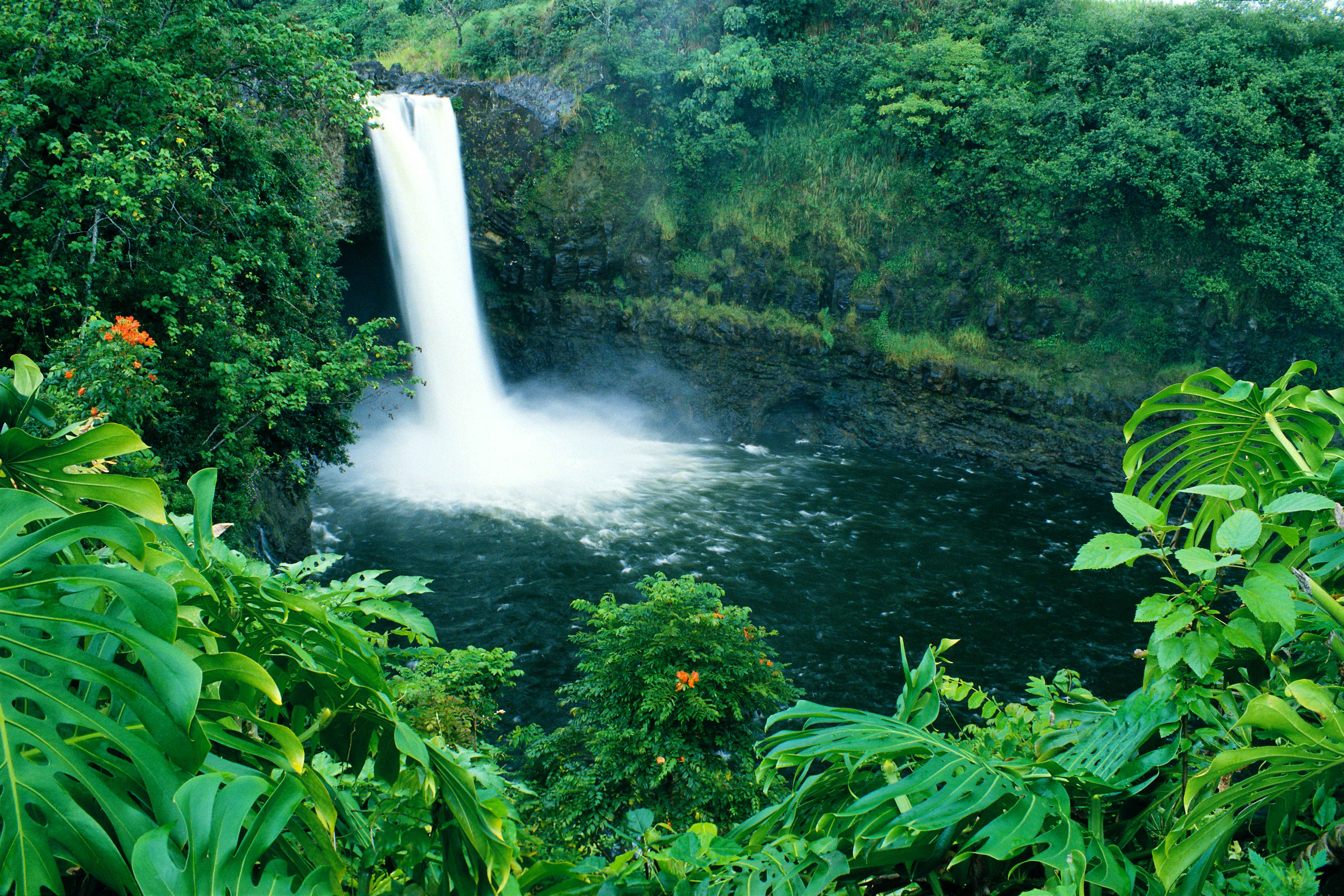 Volunteering with a clean-up crew is a great way to help keep Hawaii's ecosystems pristine. Image by Vaughn Greg / Perspectives / Getty