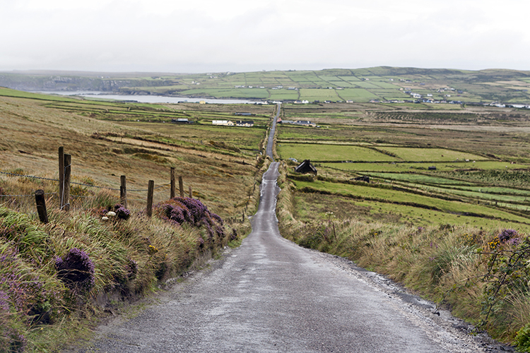 A road cutting through the fields of Valentia Island.