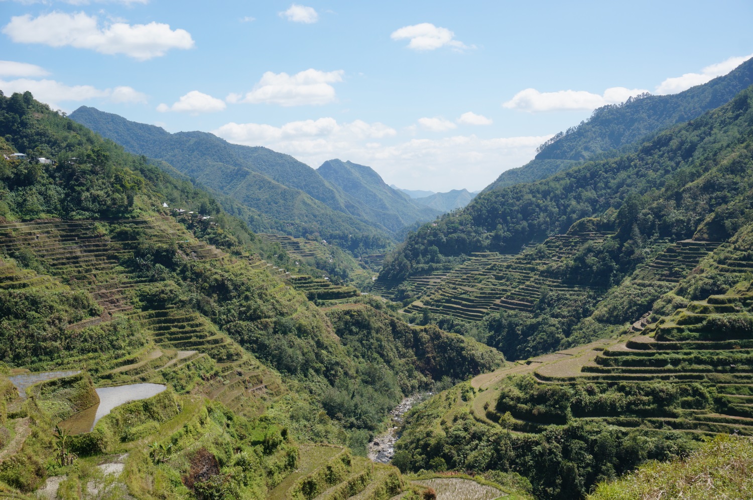 Rice terraces of Ifugao