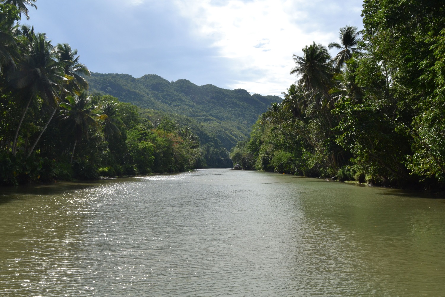 Loboc River, Bohol