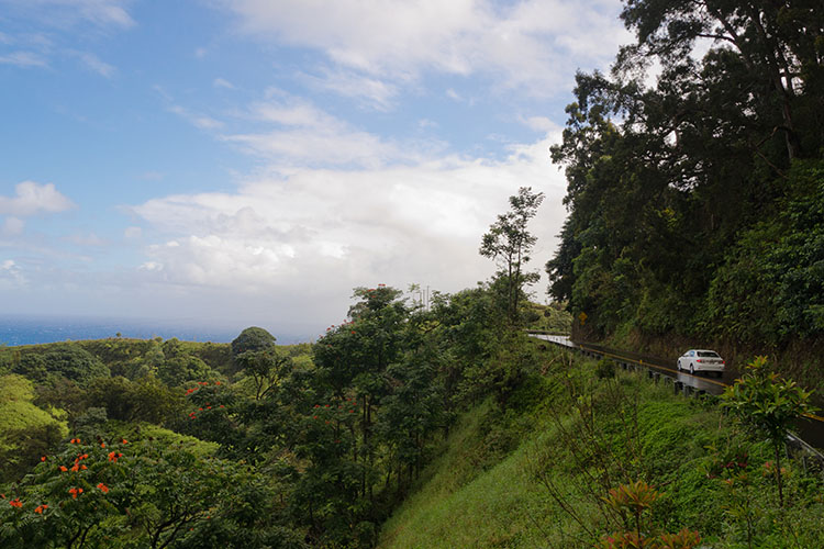 'The road to Hana!' by Gopal Venkatasen/CC BY 2.0