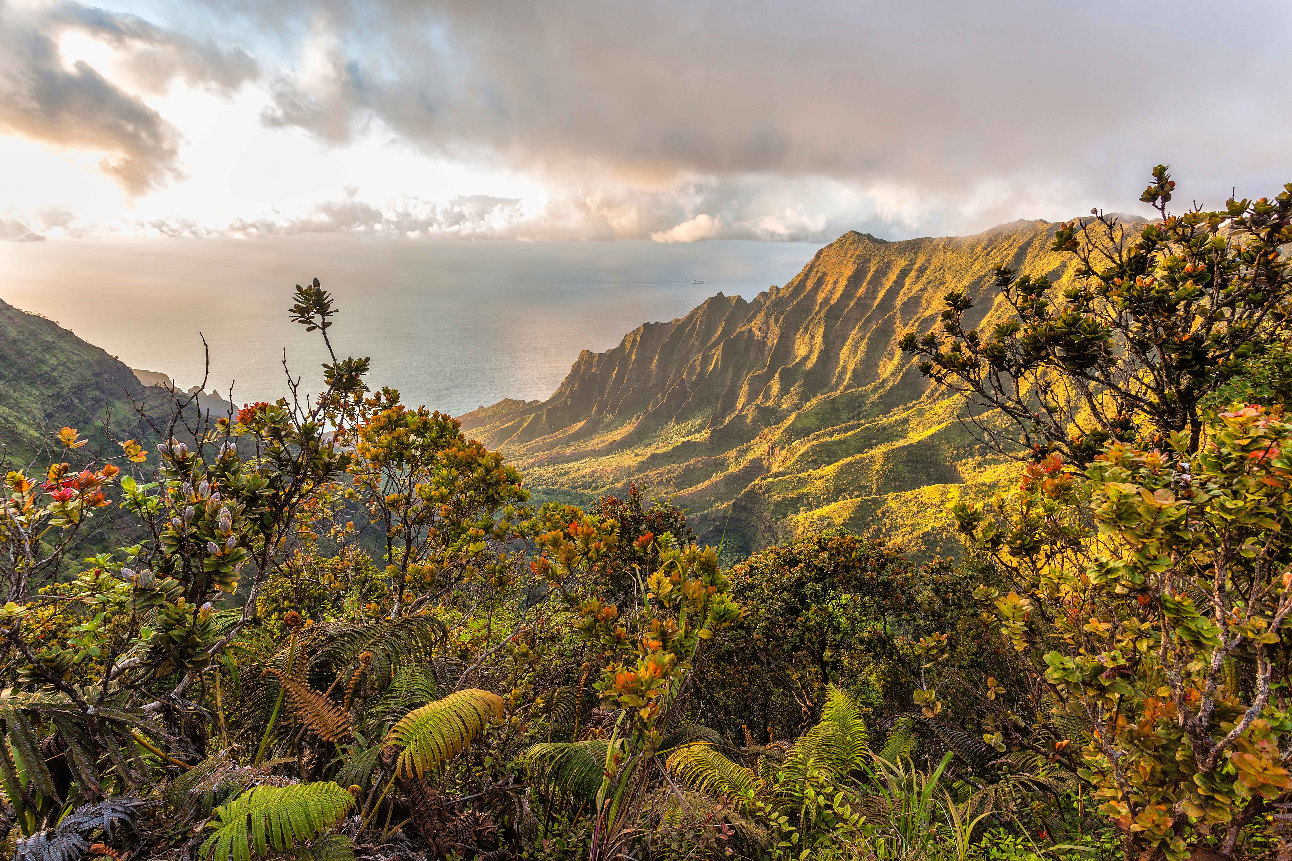 The famous view of the Kalalau Valley on Kauai. Image by Danita Delimont / Getty