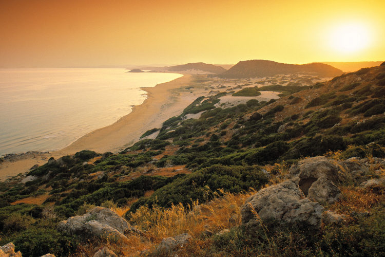 Golden Beach on the Karpas (Kirpasa) Peninsula. Image by Doug Pearson / Getty Images