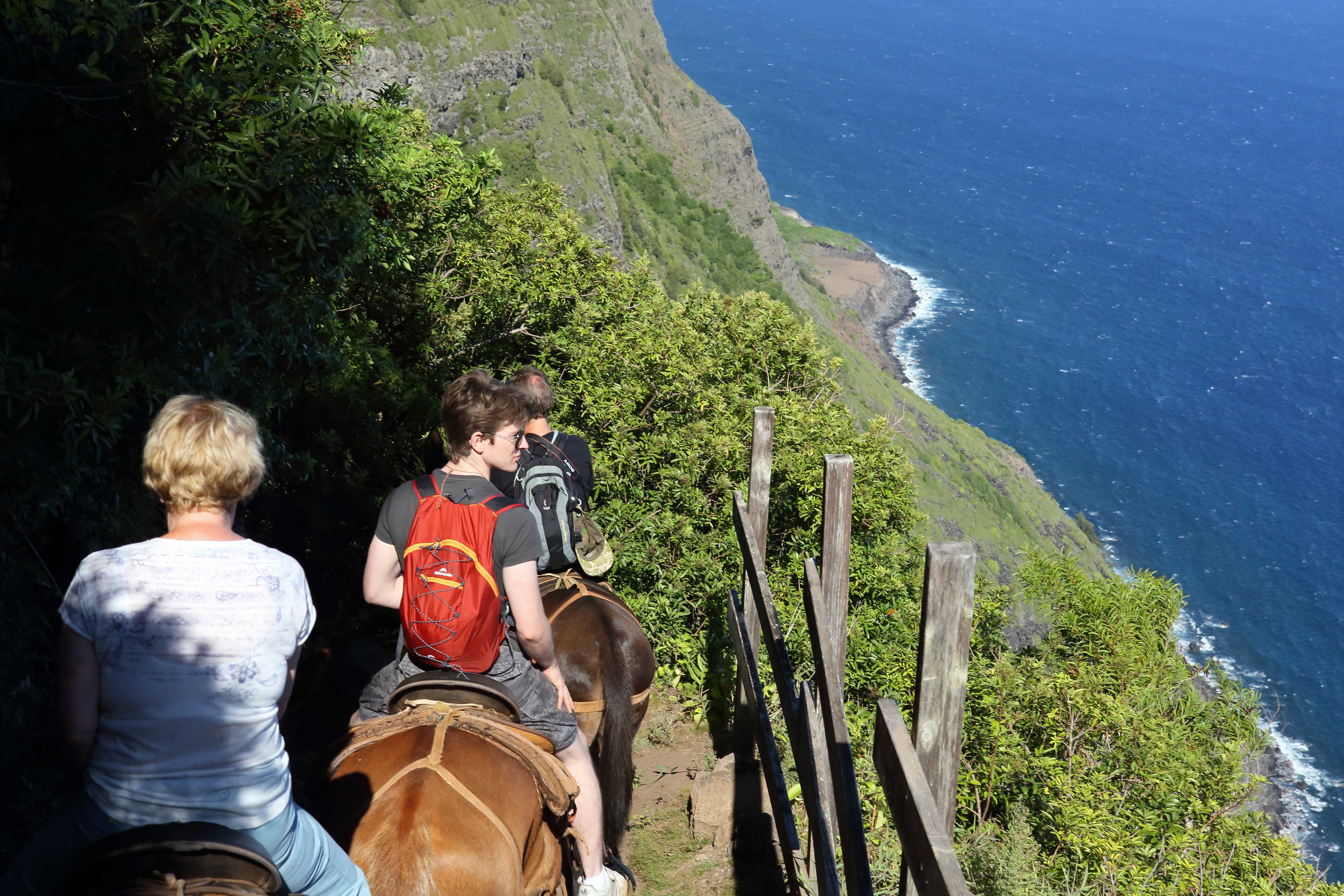A mule ride into Kalaupapa National Historic Park. Image by Steven Greaves / Getty