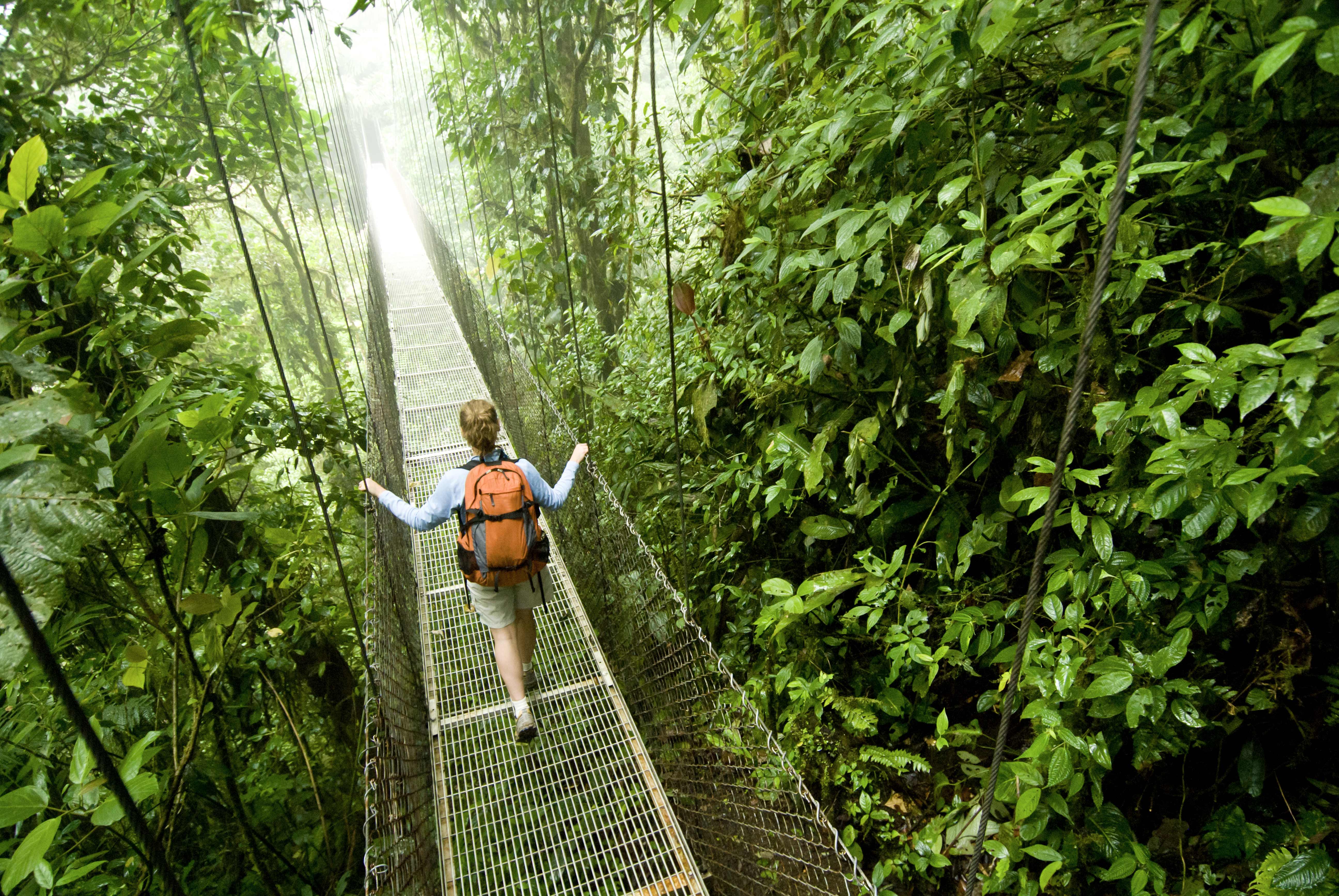 A hanging walkway in the jungle around Arenal Volcano National Park. Image Jeff Diener / Aurora / Getty