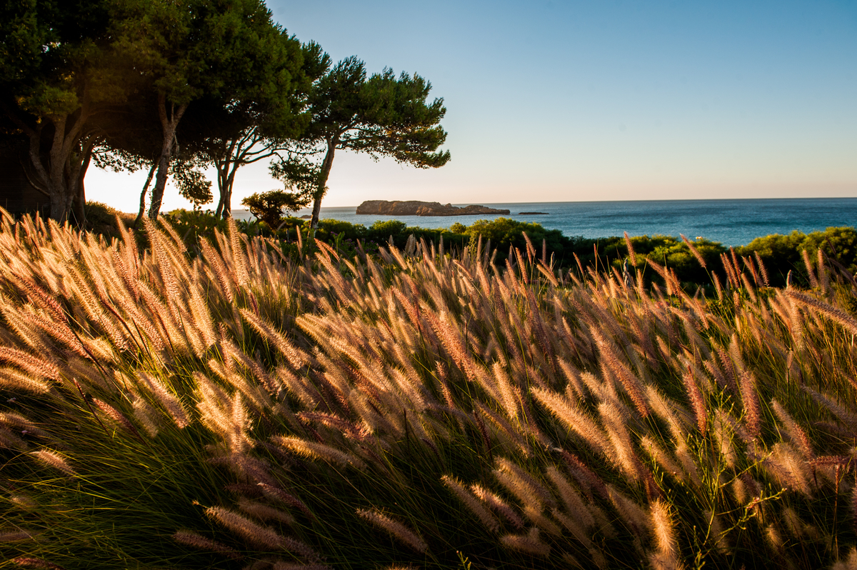 Southwest Alentejo and Vicentine Coast Natural Park. Image by Lola Akinmade Åkerström / Lonely Planet