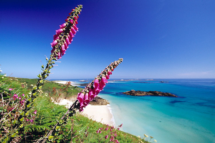 In the right light, the shallow blue waters around Herm can look like somewhere in the Caribbean. Image courtesy of Jonathan Watson / Herm Island.