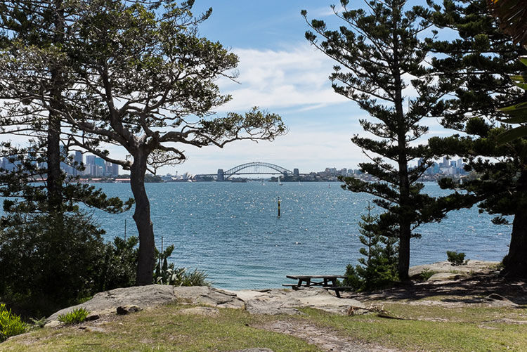 Shark Island with a view of the Harbour Bridge. Image by Glen Pearson / Lonely Planet.