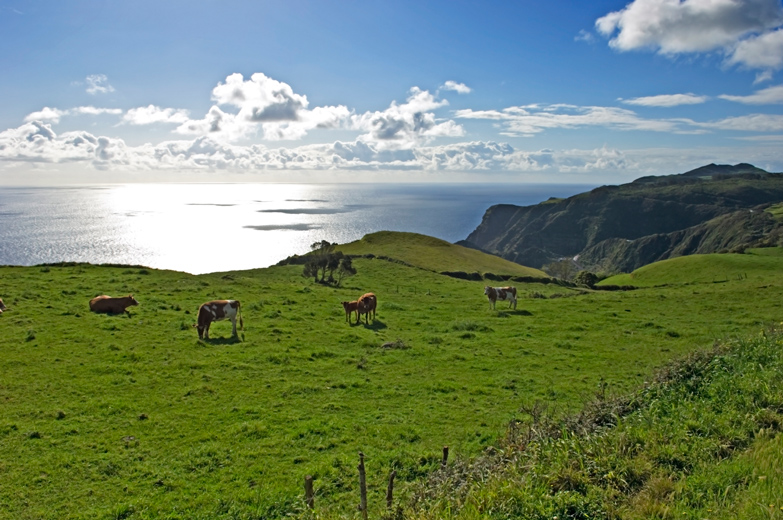 Pastoral landscape of Santa Maria Island. Image by Chris Parker / Axiom Photographic Agency / Getty Images.