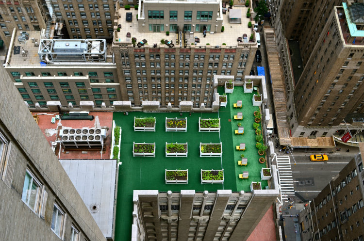 Rooftop garden of Waldorf Astoria hotel, New York City.