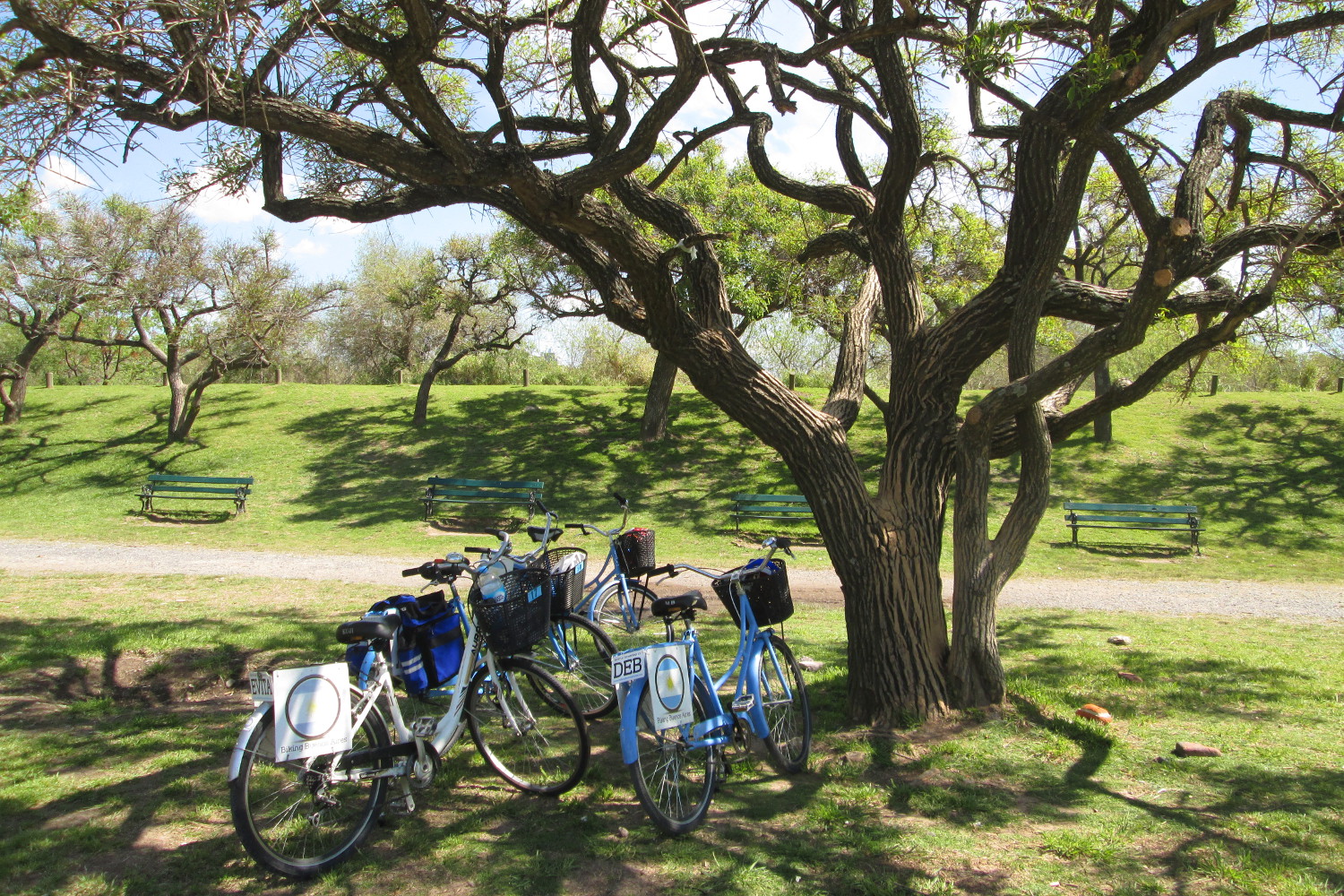 The Reserva Ecológica Costanera Sur: one of BA's most pleasant places to cycle. Image by Isabel Albiston / Lonely Planet