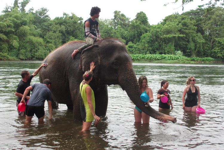 ourists help to bathe an elephant at Elephants World, Kanchanaburi. Image by Sarah Reid Lonely Planet
