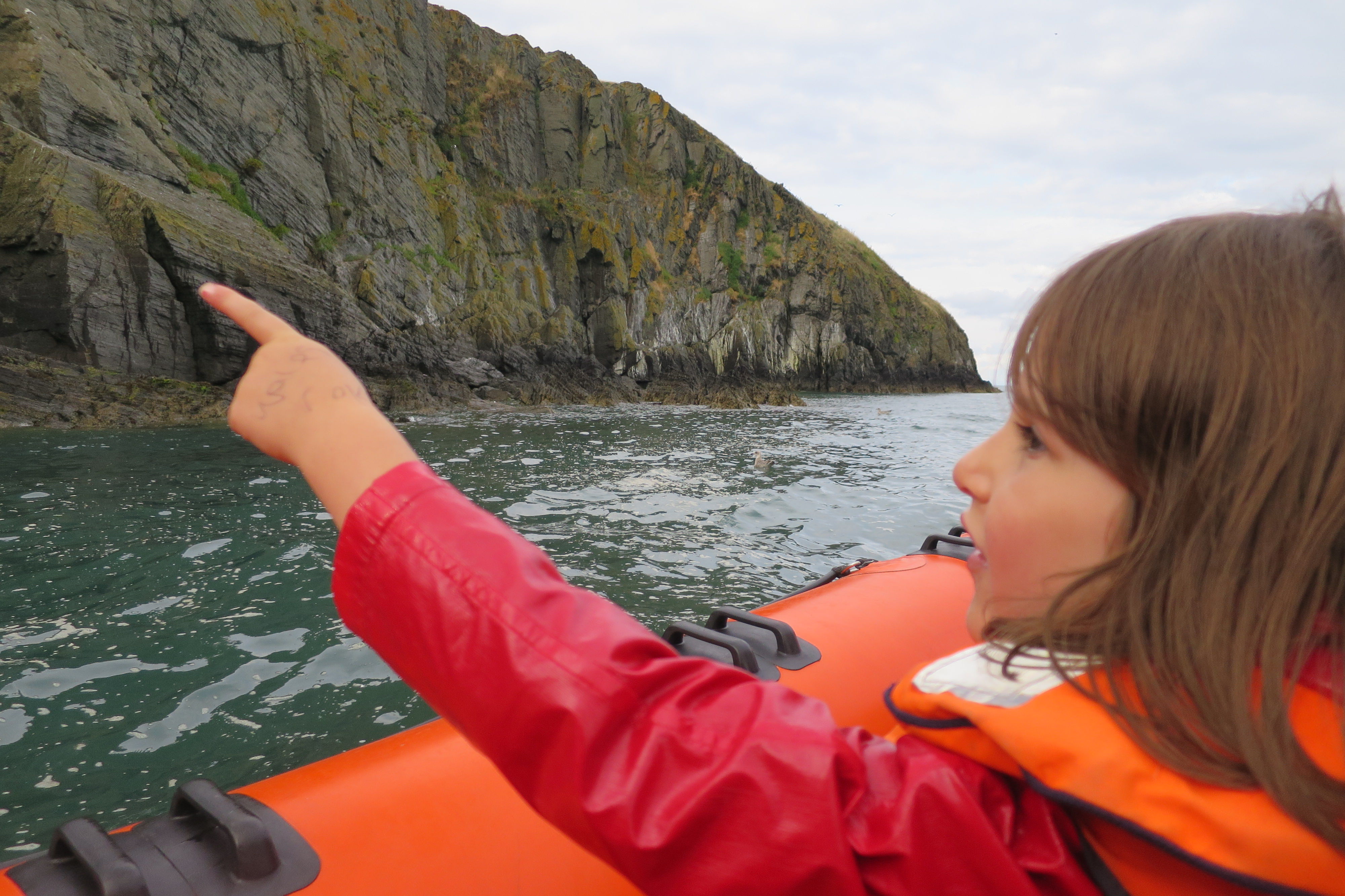 Keeping close watch during a trip from Gwbert. Image by Tasmin Waby / Lonely Planet