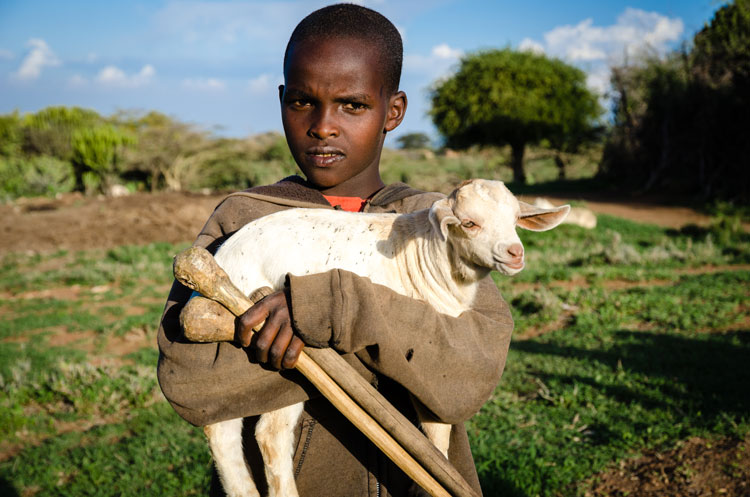 A young herder holding a kid goat. Image by Michael Benanav / Lonely Planet.