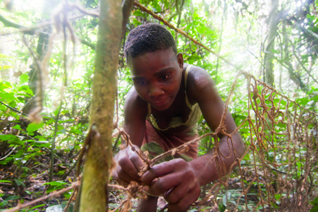 A BaAka woman prepares a net during a hunt for small antelope in the forest. They are hunting on the edge of the Dzanga-Sangha Reserve – a massive tri-nation forest park. On the CAR side of the border where this picture was taken the reserve is managed by WWF who actively encourage the regions few visitors to partake in hunting trips with the BaAka as a way of allowing these frequently marginalised people to earn money through the reserve and its wildlife.