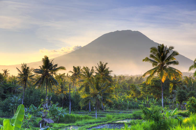 Vibrant green vegetation and palm trees form a silhouette against a mist-shrouded volcano illuminated by half-light in Bali.