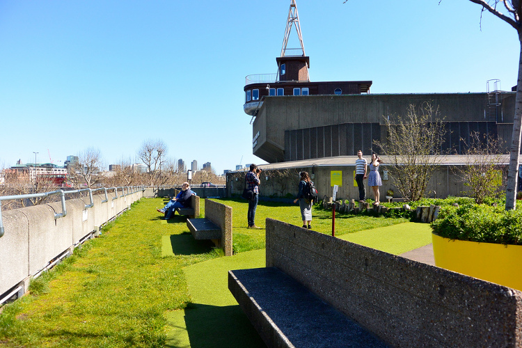 The roof garden of the Queen Elizabeth Hall on the South Bank. Image by Rev Stan / CC BY 2.0