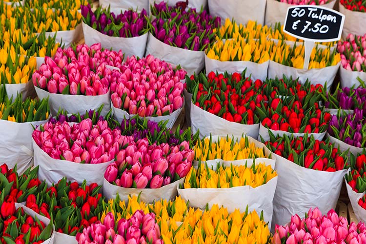 Bouquets of tulips, ready to be plucked from Amsterdam's Bloemenmarkt. Image by Kimberley Coole / Lonely Planet Images / Getty Images.