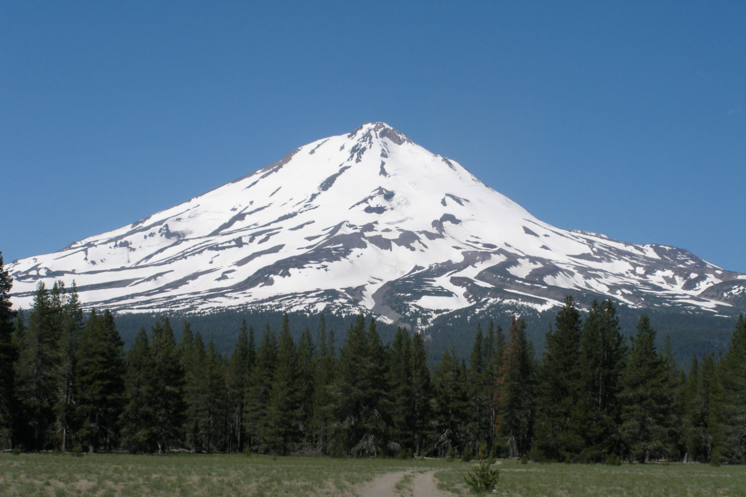 Snowy Mt Shasta from Military Pass Road. Image courtesy of Shasta Cascade Wonderland Association.