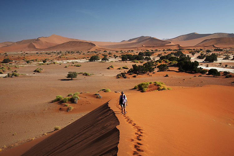A lone tourist climbing the sand dunes of Sossusvlei, Namibia. Image by Danita Delimont / Gallo Images / Getty Images.