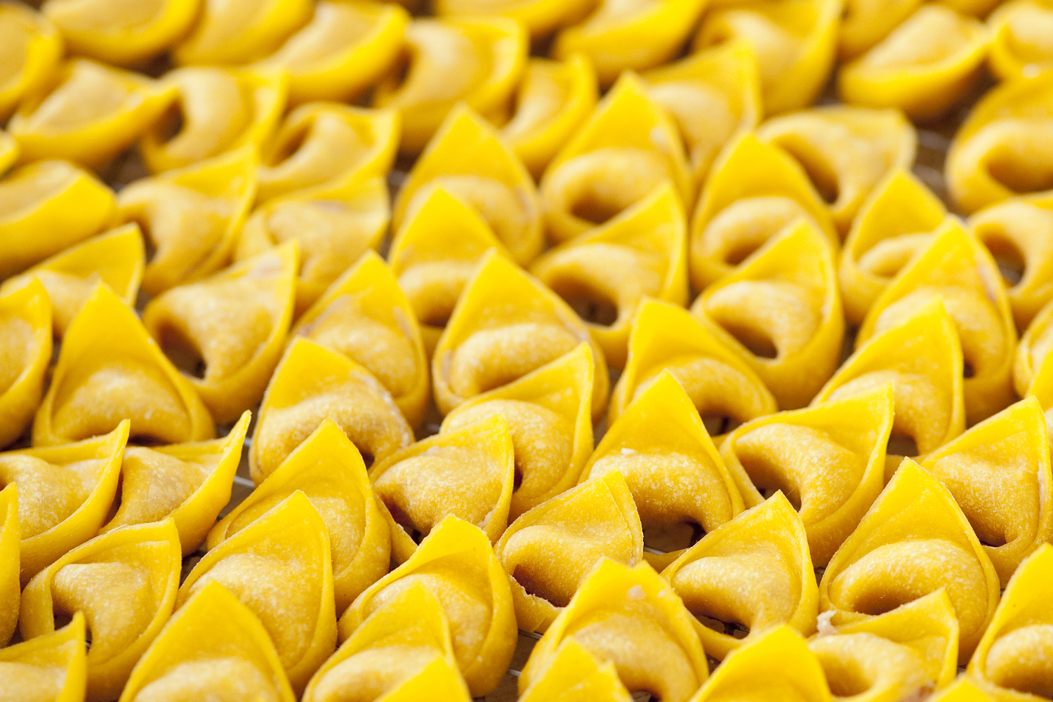 Tortellini pasta is a staple in Bologna