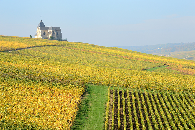 There's nowhere better for bubbles than Champagne. Image by Martial Colomb / The Image Bank / Getty Images