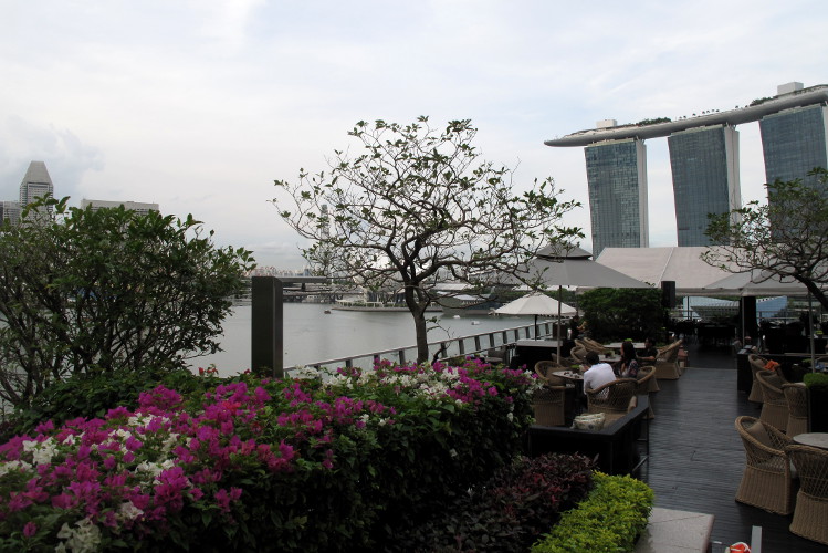 People seated at tables on a deck, surrounded by trees and flowers, with a backdrop of Singapore skyscrapers