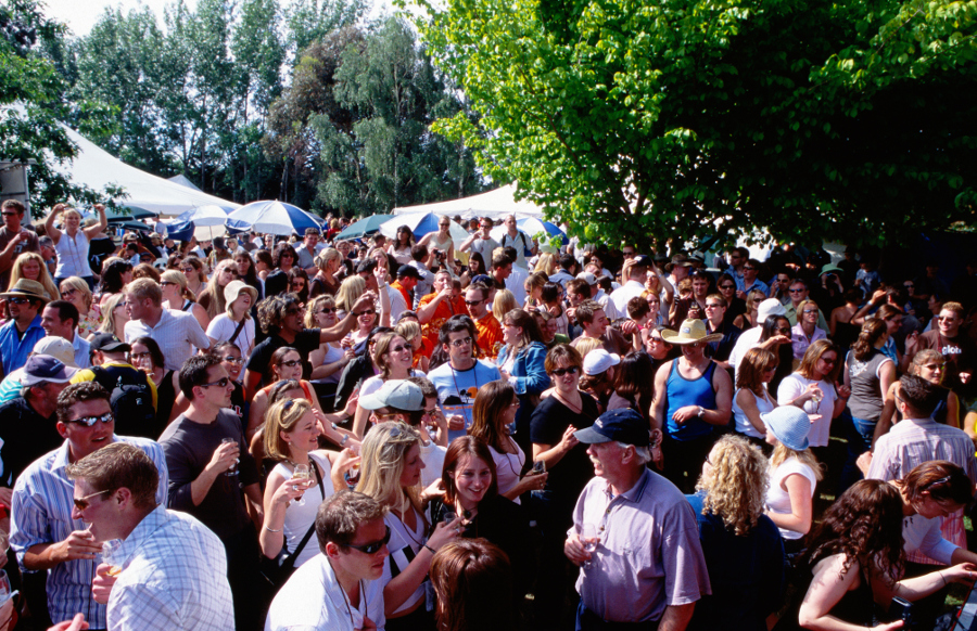 Revellers at the Toast Martinborough Wine, Food & Music Festival. Image by Oliver Strewe