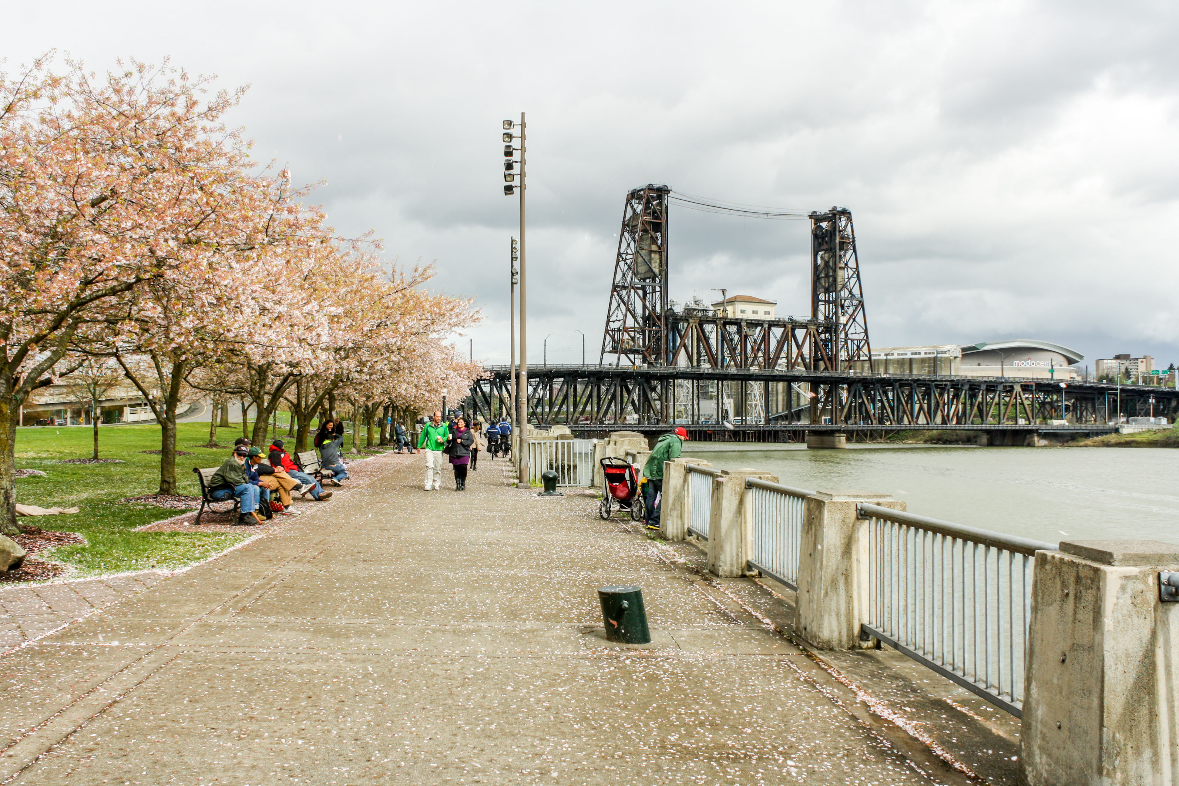 Tom McCall Waterfront Park was one of the first examples of freeway removal, an urban policy plan to improve quality of life for residents. Image by  / Lonely Planet