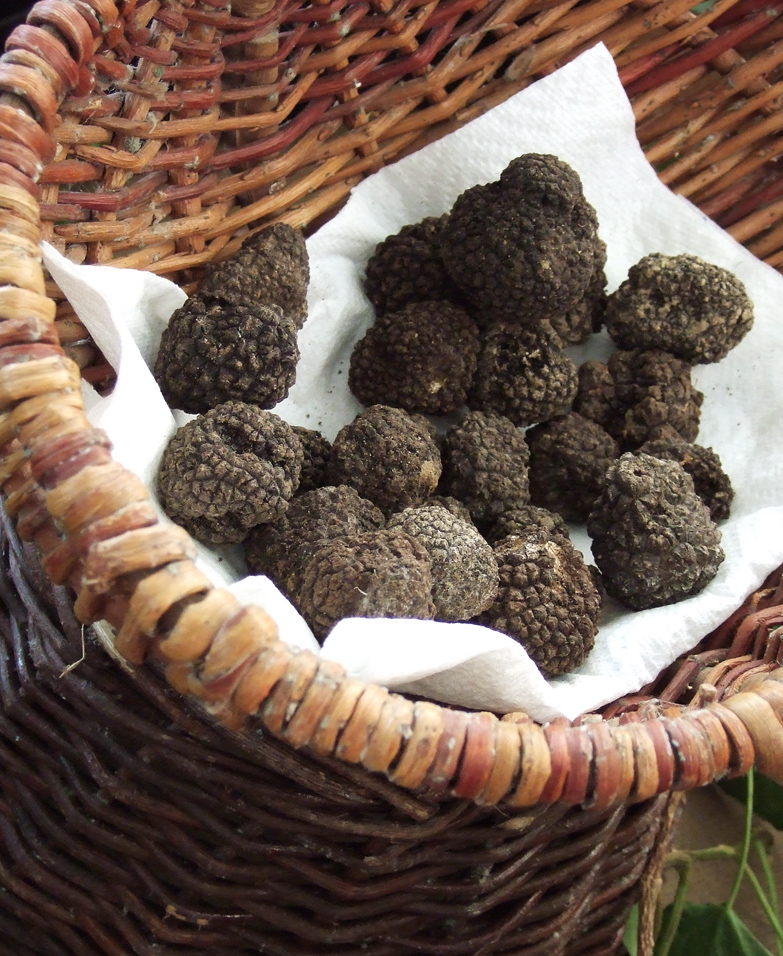 Black truffles by David Loong. CC BY-SA 2.0.