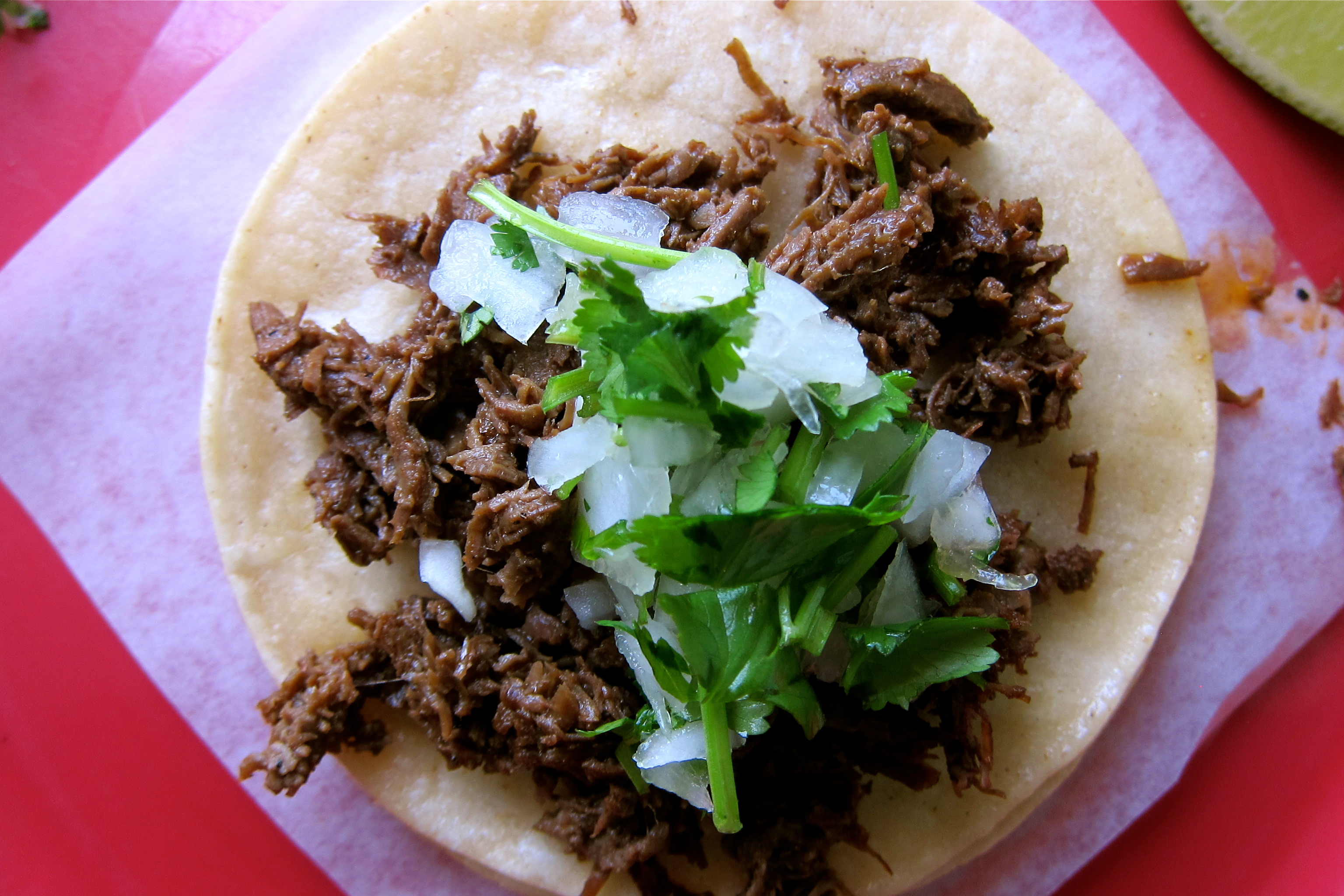 A tasty, fresh-made taco at La Taqueria Pinche Taco Shop. Image by John Lee / Lonely Planet