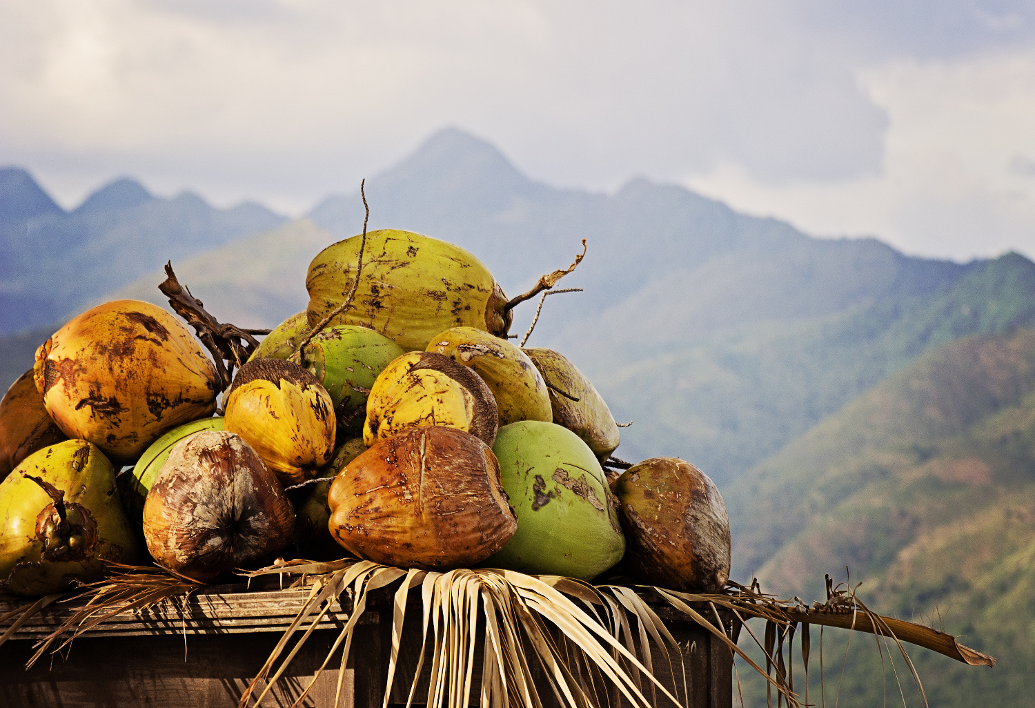 Fresh air and fresh produce is a perfect recipe in the Caribbean. Image by Karen Brodie / Moment / Getty
