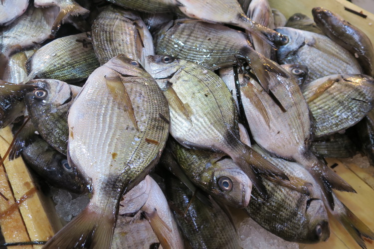 Central fish market in Athens. Image by Karyn Noble / Lonely Planet