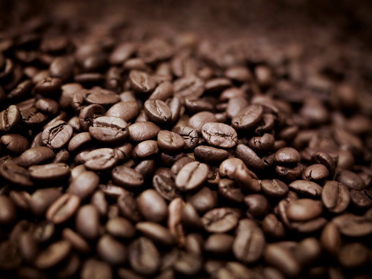 It all started with some magic beans. Image by Adam Gault/Photostock/Getty
