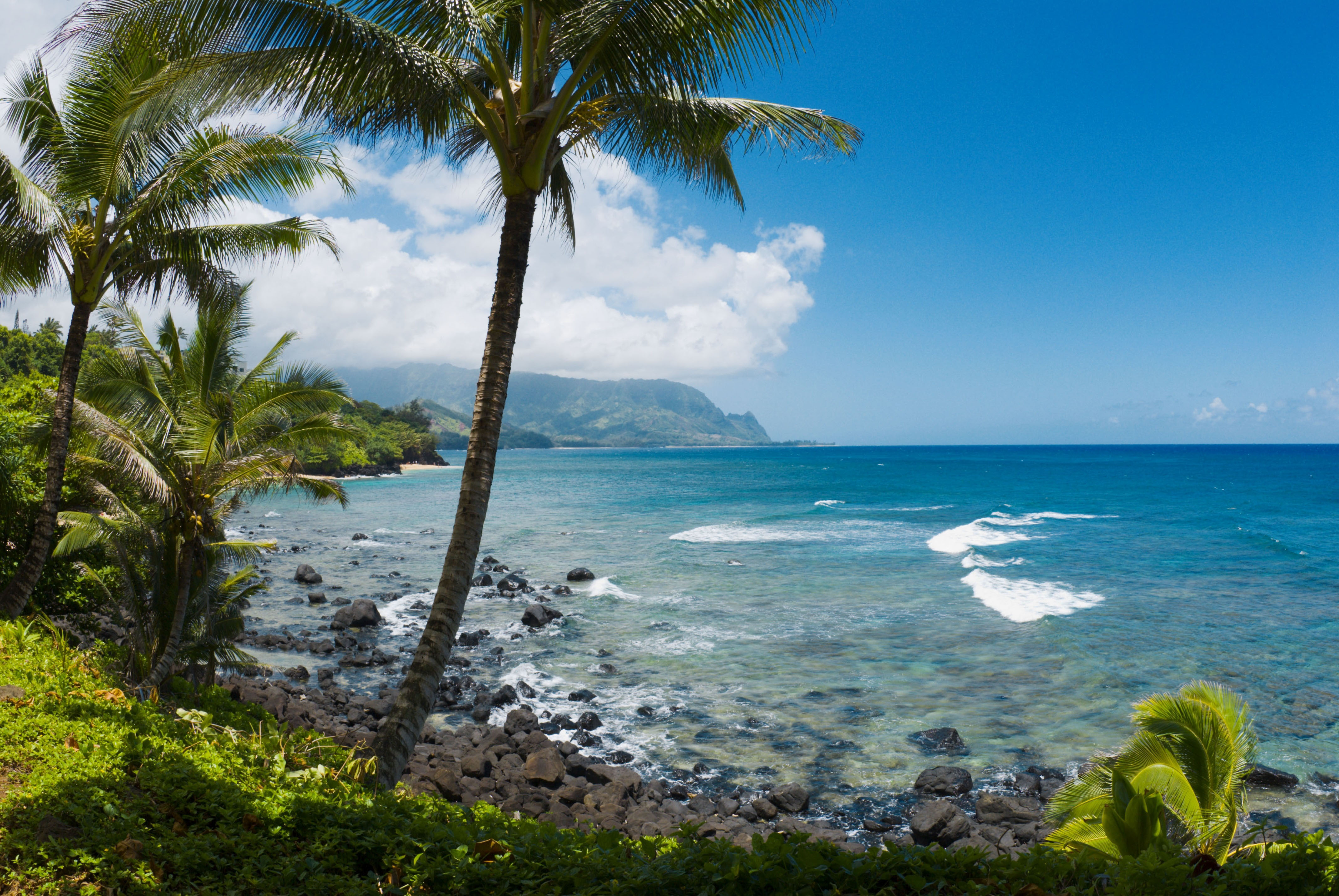 The verdant tropical coastline of Pali Ke Kua (Hideaways) Beach . Image by Russ Bishop / Getty