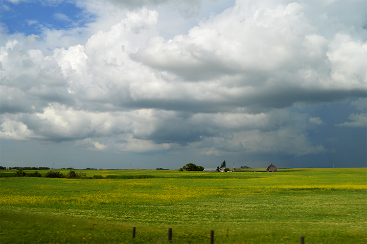 Traveling through Canada's breadbasket. Image by Kate Armstrong / Lonely Planet