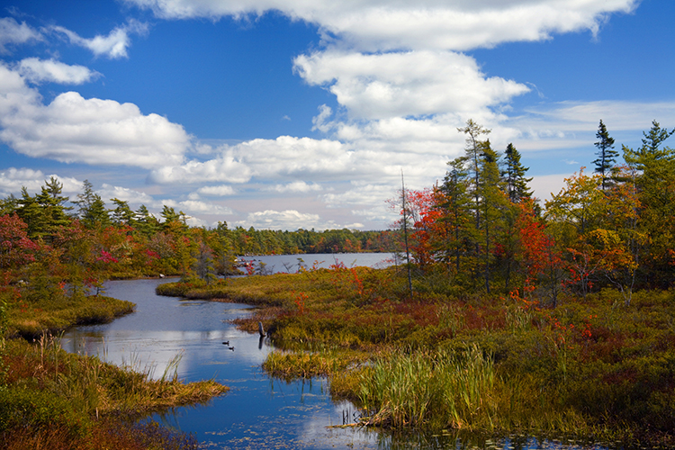 The best time to check out the Montréal to Halifax route is during the autumn. Image by Irwin Barrett / First Light / Getty