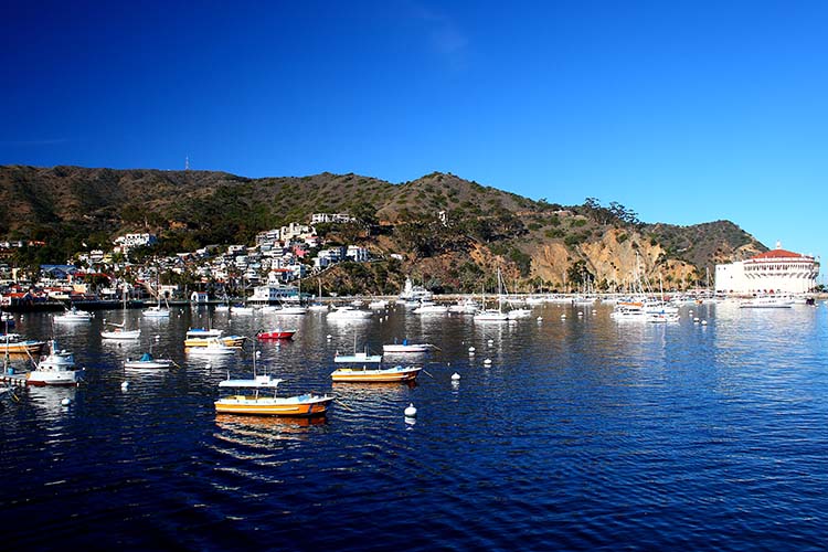 Avalon harbour, Catalina Island. Image by Justin Ennis / CC BY 2.0