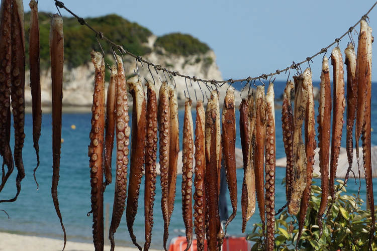 Octopus tentacles drying in Kalamitsi, Sithonia. Image by Anita Isalska / Lonely Planet