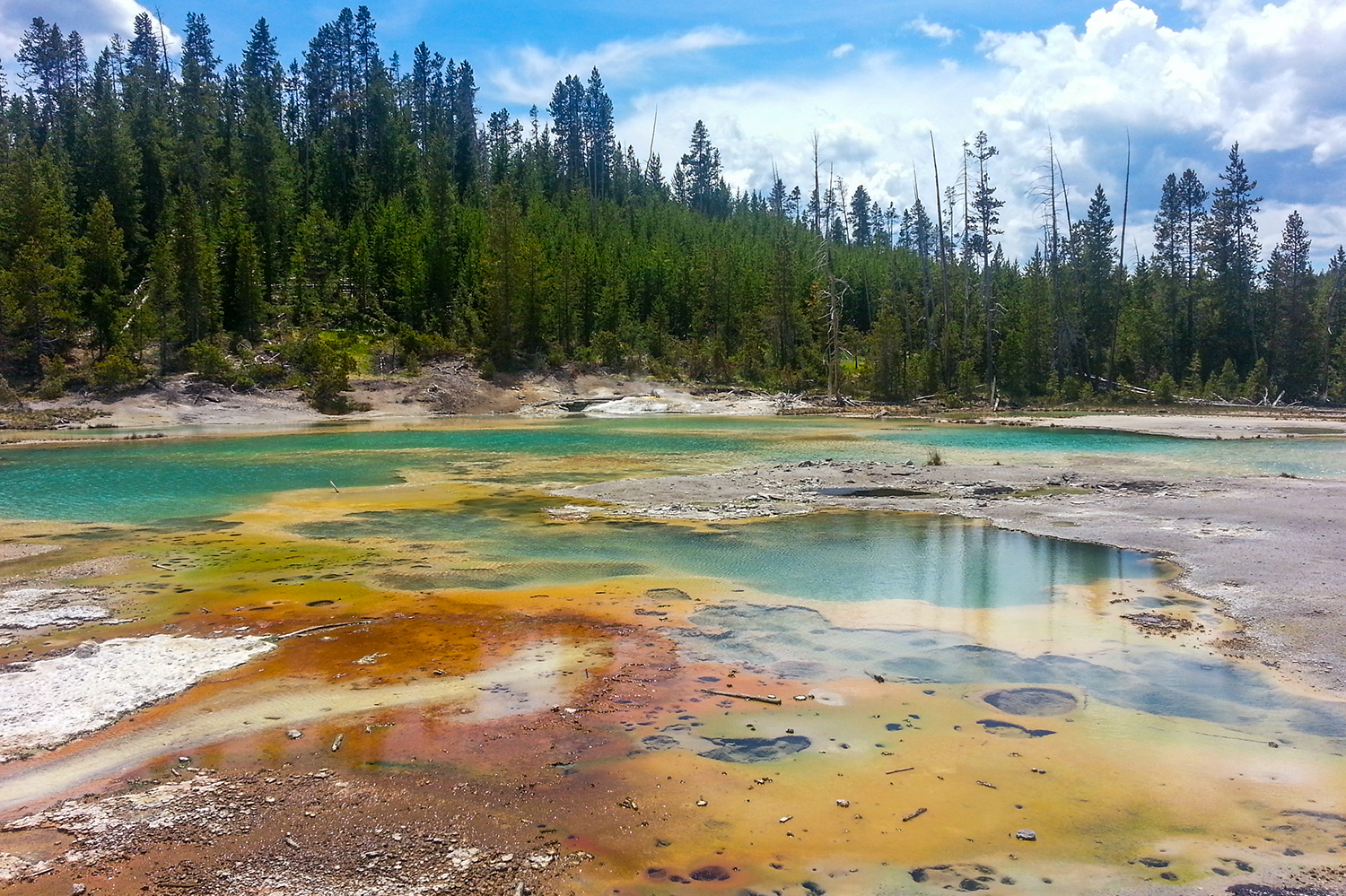 Steaming springs, canyons and tangles of forest make Yellowstone National Park an otherworldly sight. Image courtesy of Wyoming Office of Tourism