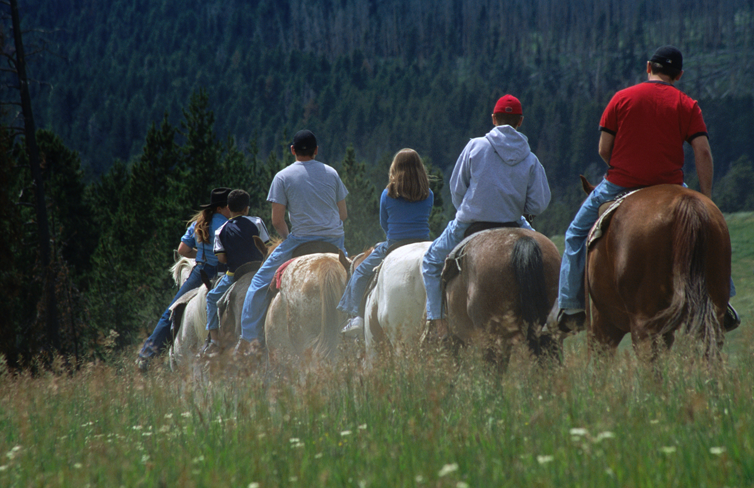 Horseback riding is an adventurous way to hit the trails in Yellowstone National Park © Carol Polich / Getty Images
