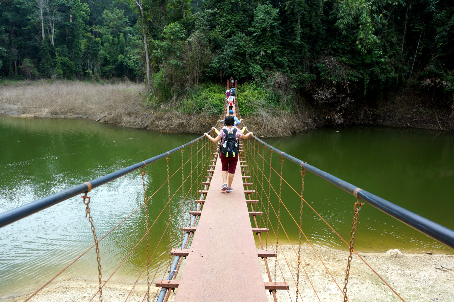 Belum State Park - step into this wilderness of swampy inlets and jungle-draped coves - Anita Isalska 1