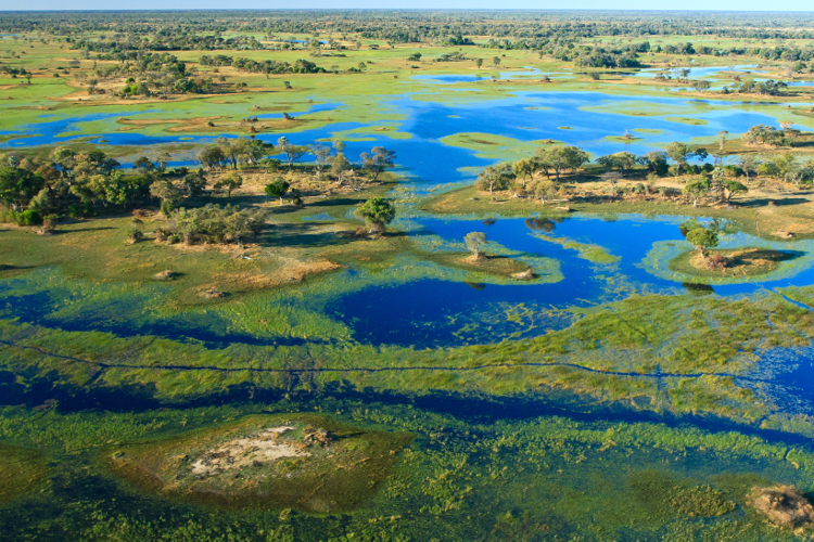 Aerial view of the Okavango Delta during its annual flood. Image by Kelly Cheng Travel Photography / Getty Images