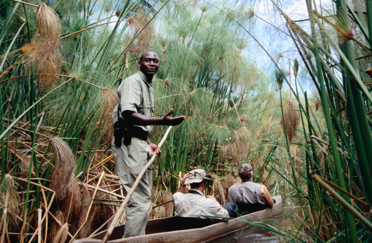Safari by mokoro, a unique and quintessentially Okavango experience. Image by Mark Newman / Getty Images