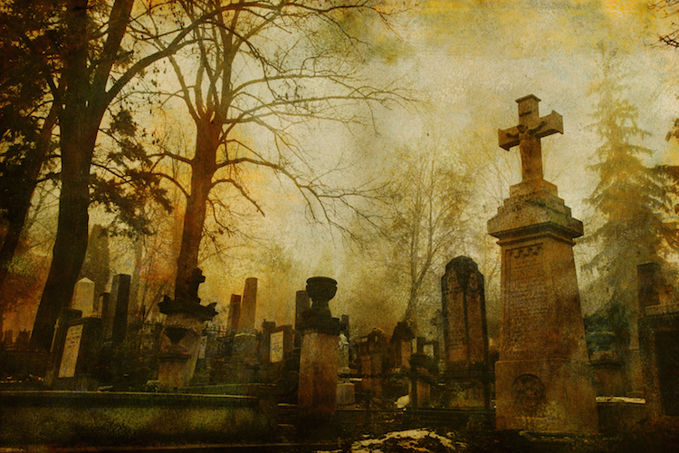 Vintage Cluj cemetery. Image by Juan Facundo Mora Soria/ E+/ Getty Images.
