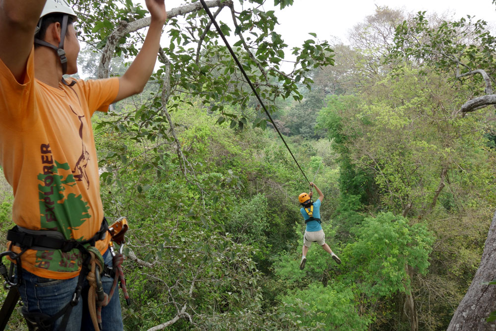 Ziplining at Angkor