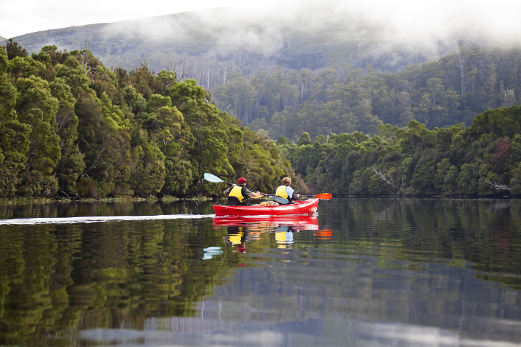 Kayaking on the Pieman river  / Image by Peter Walton Photography / Getty Images 