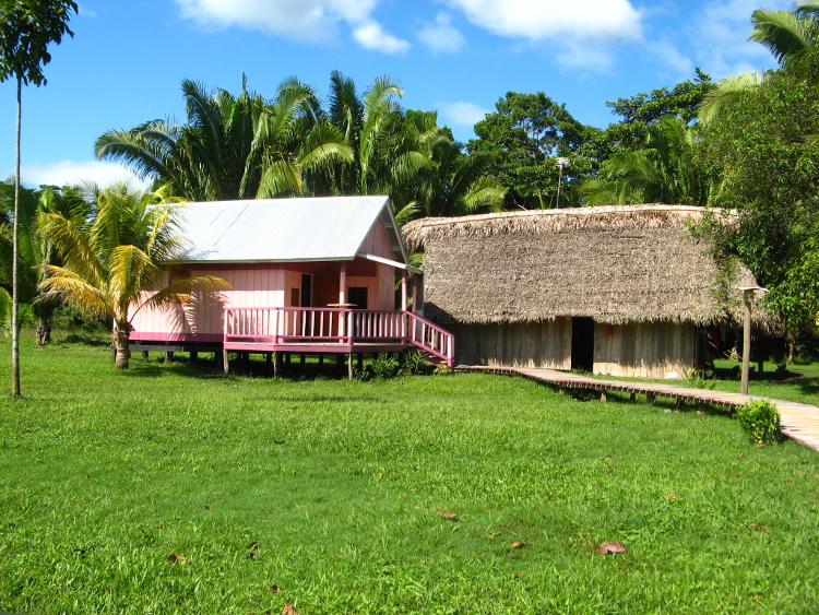 Maya house, Toledo District. Image by Joshua Samuel Brown