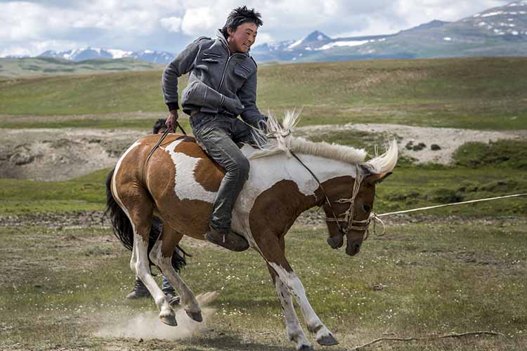 A nomad breaks a wild mare. Image by David Baxendale / Lonely Planet