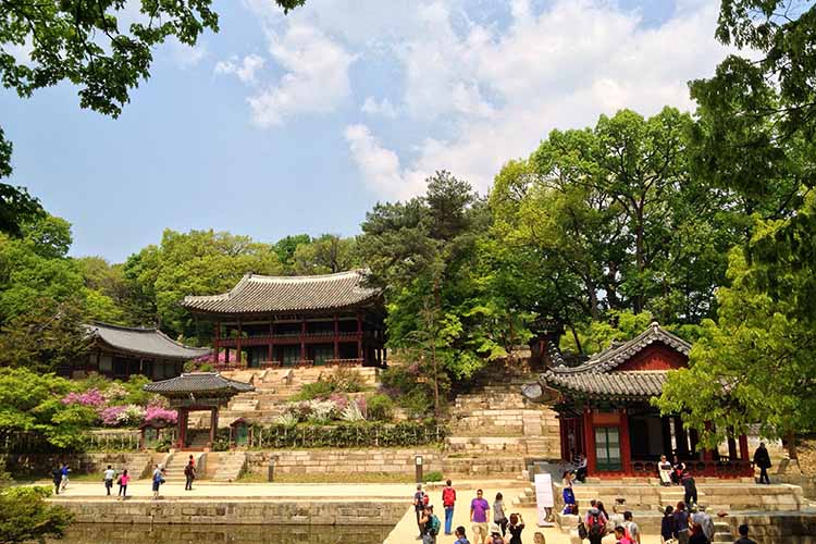 Changdeokgung Palace. Image by Tim Richards / Lonely Planet